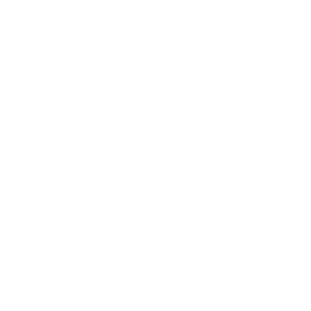 VV Logo